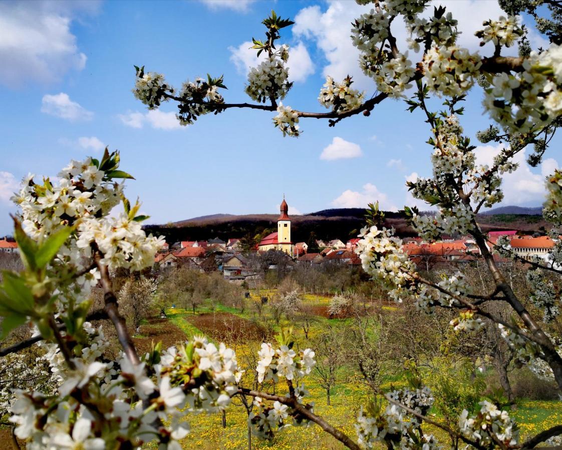 Domboldal Vendégház Noszvaj Exterior foto