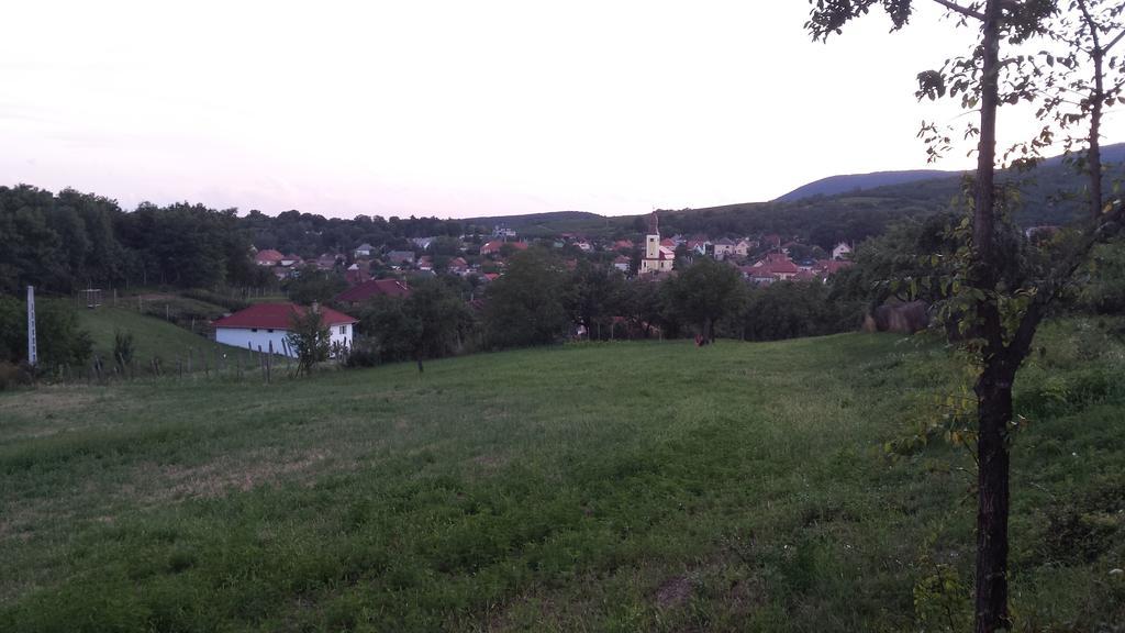 Domboldal Vendégház Noszvaj Exterior foto