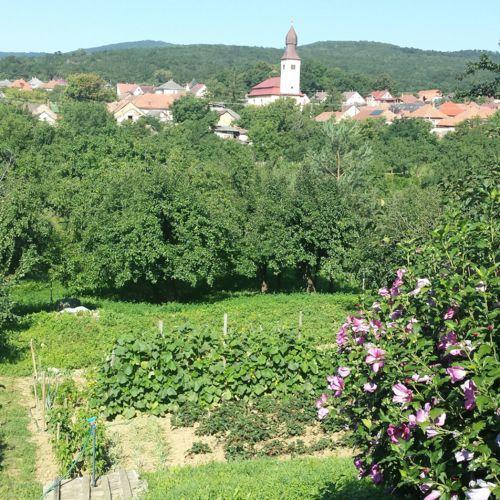 Domboldal Vendégház Noszvaj Exterior foto